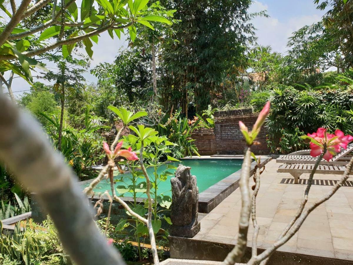 Nyoman Homestay Ubud Экстерьер фото